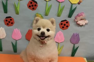 4月のお友達☆