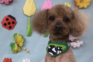 4月のお友達☆