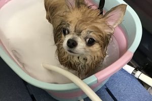 4月のお友達☆