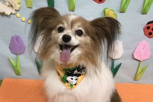 4月のお友達☆