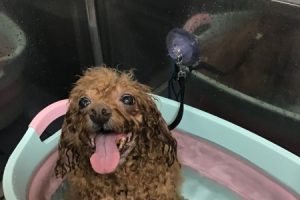 4月のお友達☆