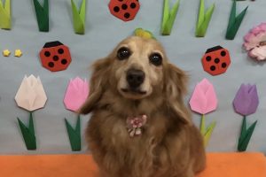 4月のお友達☆
