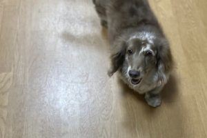 お泊り☆