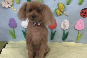 4月のお友達☆