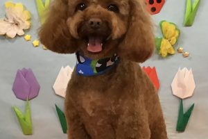 4月のお友達☆