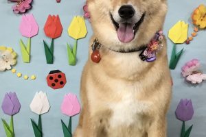4月のお友達☆