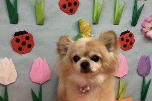 4月のお友達☆
