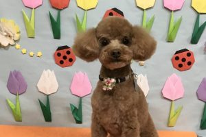 4月のお友達☆