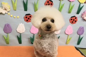 4月のお友達☆