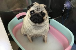 4月のお友達☆