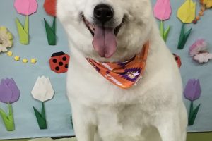 4月のお友達☆
