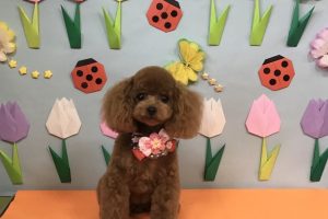 4月のお友達☆