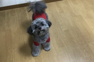 お泊り☆