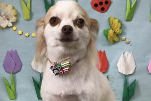 4月のお友達☆