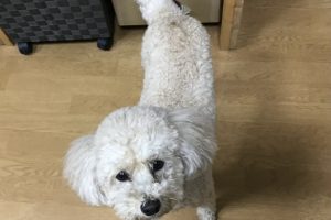 お泊まり中☆