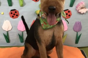 ４月のお友達☆