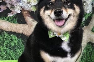 5月のお友達☆
