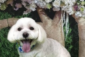 5月のお友達☆