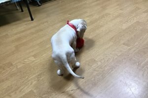 お泊まり中☆