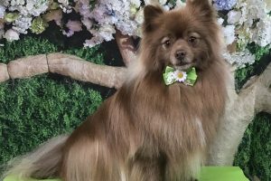 5月のお友達☆