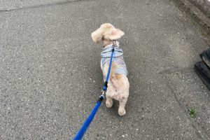 お泊まり中☆