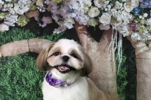 5月のお友達☆