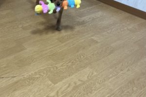 お泊まり☆
