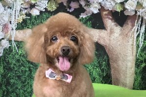 5月のお友達☆
