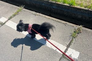 お泊まり☆