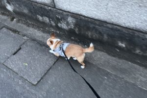 お泊まり中☆