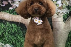 5月のお友達☆