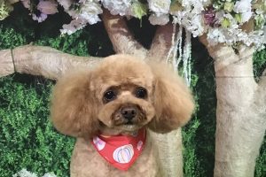 5月のお友達☆