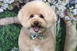 5月のお友達☆