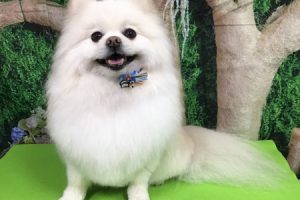 5月のお友達☆
