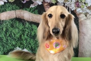 5月のお友達☆