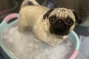 5月のお友達☆