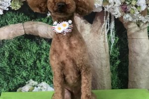 5月のお友達☆
