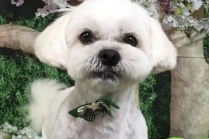 5月のお友達☆