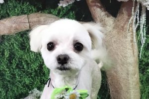 5月のお友達☆