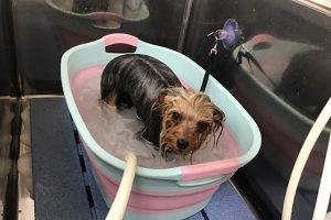 5月のお友達☆