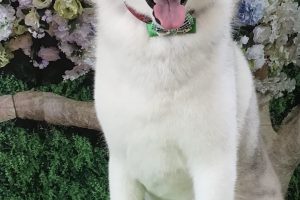 5月のお友達☆