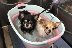 5月のお友達☆