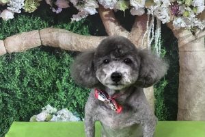 5月のお友達☆