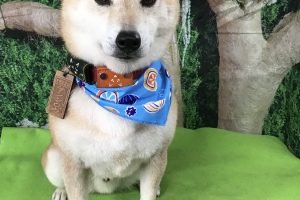 5月のお友達☆