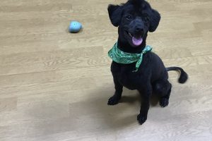 お泊まり☆