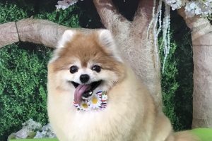5月のお友達☆