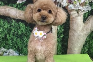 5月のお友達☆
