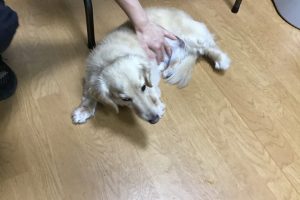お泊まり中☆