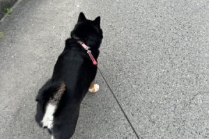 お泊まり☆