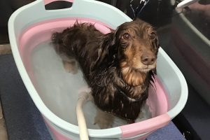 5月のお友達☆